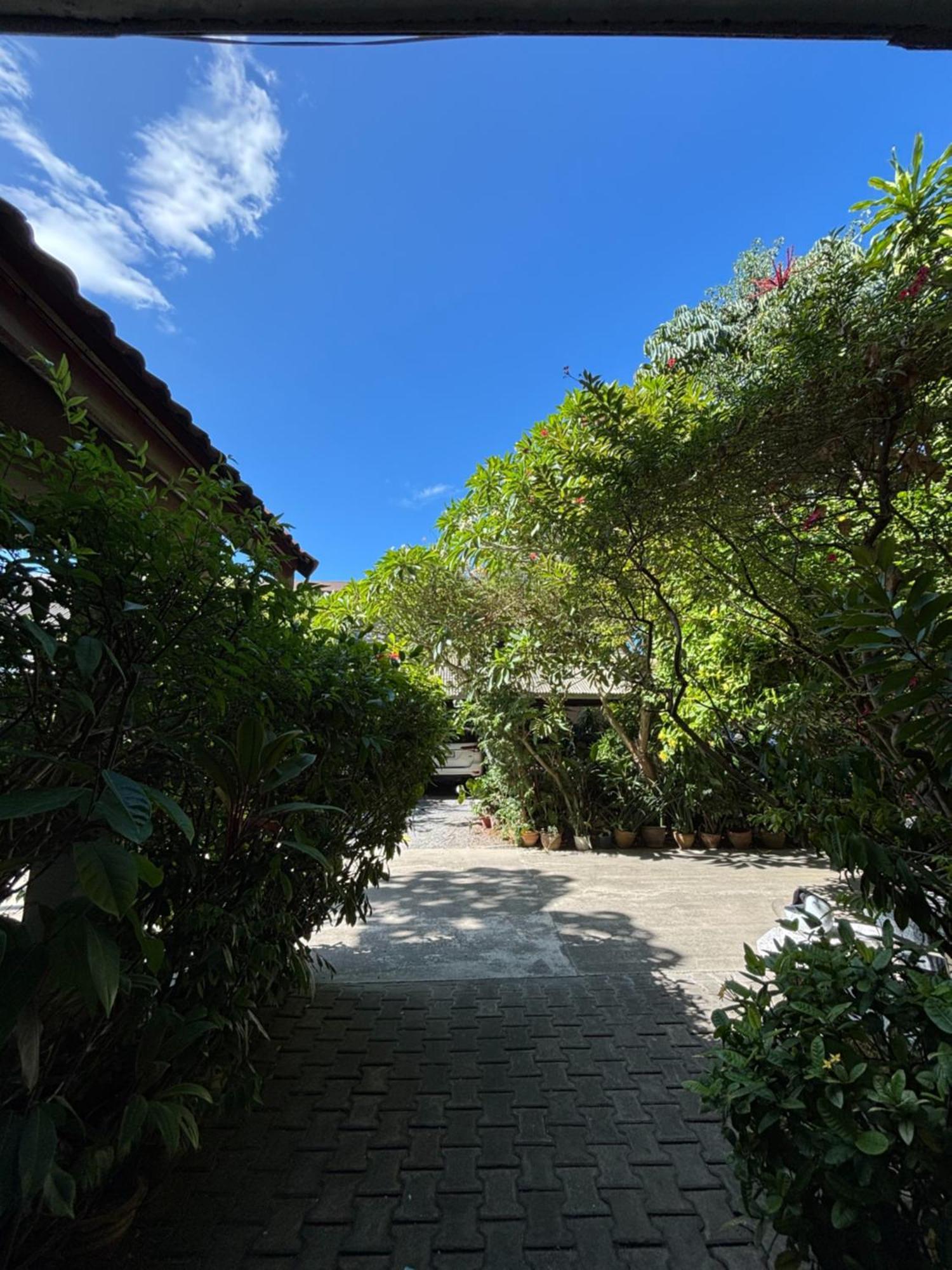 Bonny 4 Floors No Elevator Lamai Beach (Koh Samui)